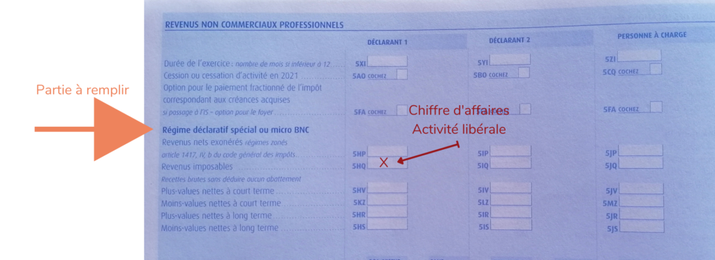 case a remplir activité libérale BNC dans la déclaration de revenus