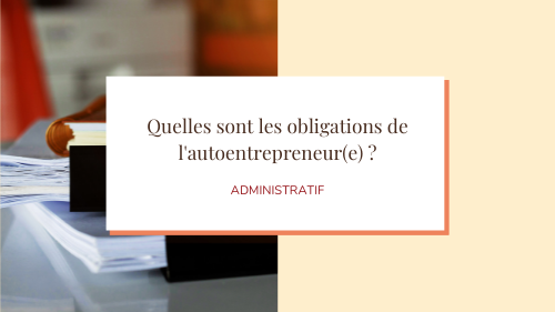 miniature article obligations autoentrepreneur